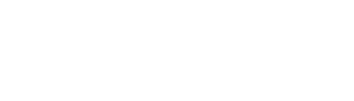Yanis Delivery Logo